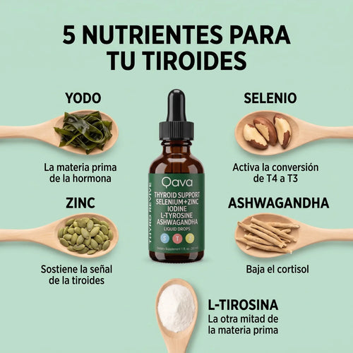 Qava® Tiroides | Gotas Sublinguales