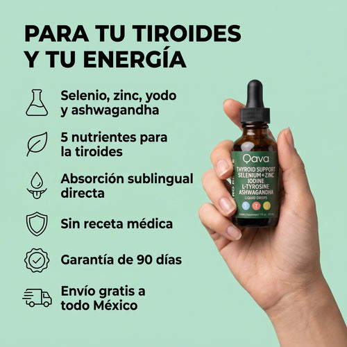 Qava® Tiroides | Gotas Sublinguales