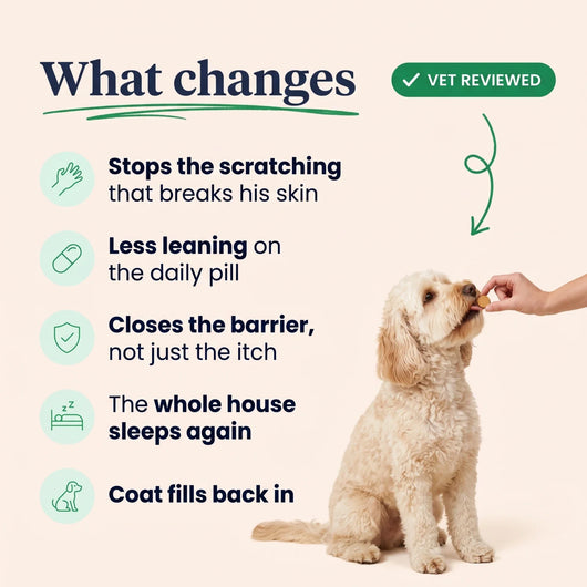 What changes with Sealva: less scratching, less daily pill, coat fills back in