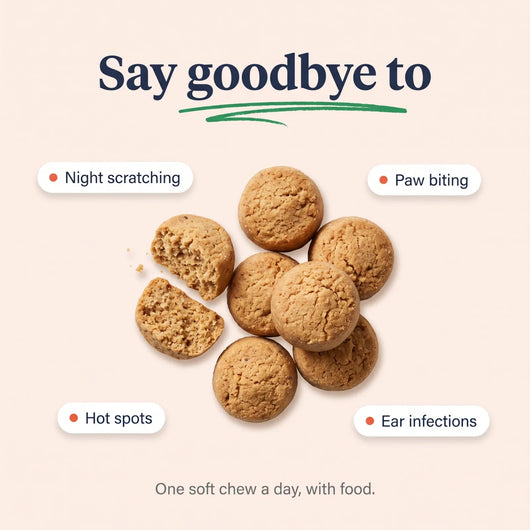 Say goodbye to night scratching, paw biting, hot spots and ear infections